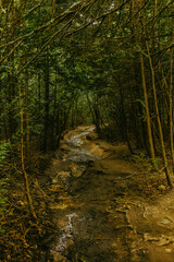 Obraz premium pictured rocks