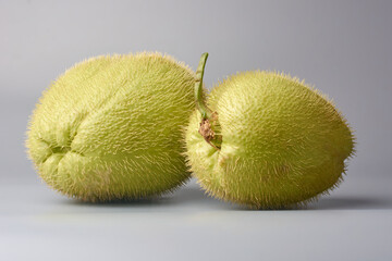spiny or prickly chayote isolated gray background close-up view, pear shaped edible fruits with green skin, staple food used in traditional dishes
