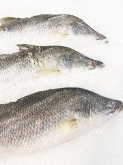 Fresh fish with shiny scales Shiny eyes arranged on ice crystals are sold in supermarkets