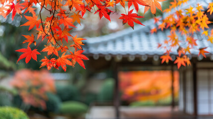 秋の紅葉と日本庭園
