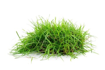 A close-up view of a pile of green grass on a white surface