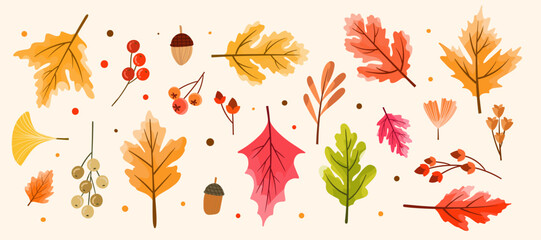 Autumn Leaves or Fall Leaves and Maple Leaf, Oak Leaf, Dry Leaf, Fall Foliage for Autumn Background or Autumn Mood Set in Vector SVG