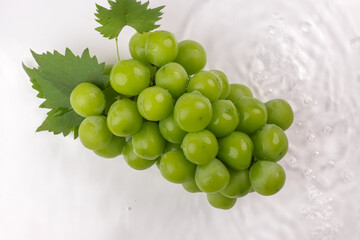 Shine Muscat on a Water. 