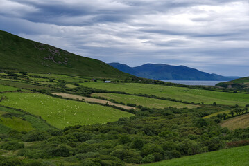 Fototapeta premium Dingle Peninsula, Ireland - Countryside near Cluain An Fhiaidh
