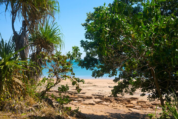 View of beach through vegetation