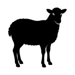 black and white sheep, sheep vector illustration, pet vector art, sheeps silhouette, animal vector icon, eps, sheep baby