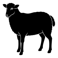 black and white sheep, sheep vector illustration, pet vector art, sheeps silhouette, animal vector icon, eps, sheep baby