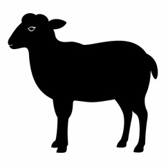 black and white sheep, sheep vector illustration, pet vector art, sheeps silhouette, animal vector icon, eps, sheep baby