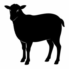 black and white sheep, sheep vector illustration, pet vector art, sheeps silhouette, animal vector icon, eps, sheep baby