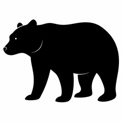 silhouette of bear, bear vector illustration, pet vector art, bears silhouette, animal vector icon, eps, bear head