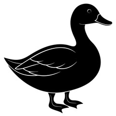 duck isolated on white, duck vector illustration, pet vector art, ducks silhouette, animal vector icon, eps