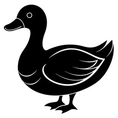 duck isolated on white, duck vector illustration, pet vector art, ducks silhouette, animal vector icon, eps