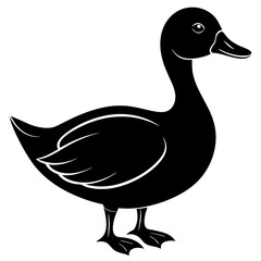 duck isolated on white, duck vector illustration, pet vector art, ducks silhouette, animal vector icon, eps