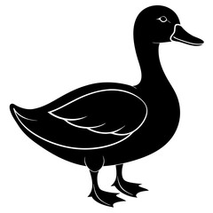 duck isolated on white, duck vector illustration, pet vector art, ducks silhouette, animal vector icon, eps