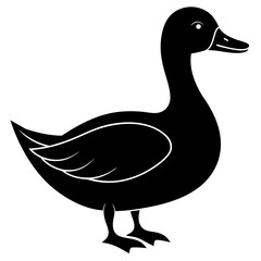 duck isolated on white, duck vector illustration, pet vector art, ducks silhouette, animal vector icon, eps