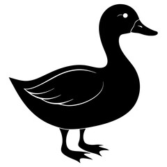 duck isolated on white, duck vector illustration, pet vector art, ducks silhouette, animal vector icon, eps