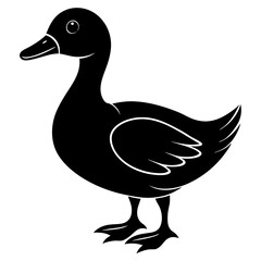 duck isolated on white, duck vector illustration, pet vector art, ducks silhouette, animal vector icon, eps
