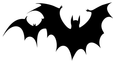 Fototapeta premium Bat isolated on transparent background png.