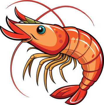 recommend clip art: prawn line art vector