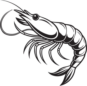recommend clip art: prawn line art vector