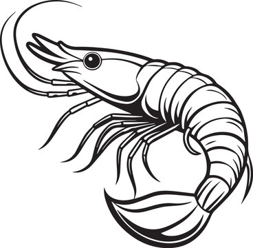 recommend clip art: prawn line art vector
