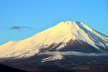 Fototapeta premium 富士 富士山 山梨県山中湖付近の風景