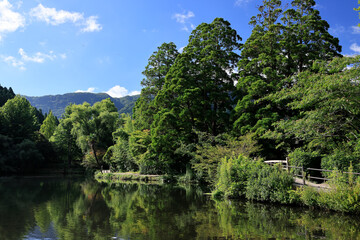 由布院　朝の金鱗湖