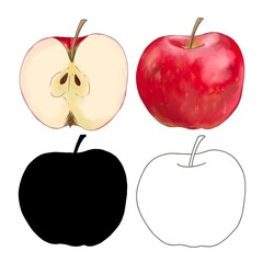 Watercolor red apple whole, in section, silhouette, contour for children isolated on a white background