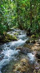 Obraz premium Tranquil Stream Flowing Through Lush Green Forest.