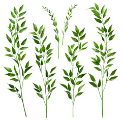 Fototapeta premium Lush Green Botanical Leaves Isolated on Black Background - High-Resolution Nature Stock Photo for Design and Decoration