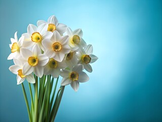 Naklejka premium Bunch of white daffodils Blue background