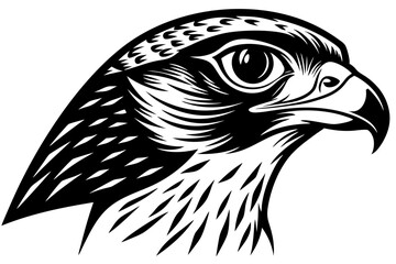 falcon head vector silhouette, eagle head icon