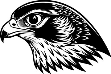 Obraz premium falcon head vector silhouette, eagle head icon