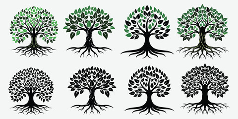 Set of Colourful and black banyan tree combo Package collection, Logo Icon Vector illustration design