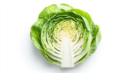 Obraz premium Sliced Brussels sprouts layered in a circular pattern, each slice showing different shades of green. Perfectly isolated on white