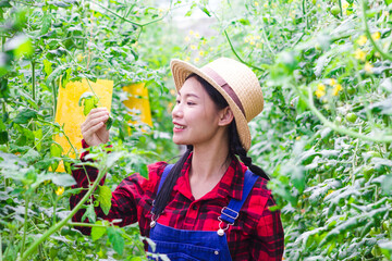 A farmer who smiles with happiness in an organic plant