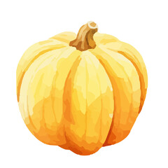 watercolor pumpkin. Fresh and healthy vegetables. Farm vegetables. fall autumn Pumpkin element Png, watercolor illustration, Autumn Halloween Watercolor Pumpkin.