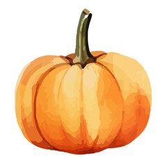 watercolor pumpkin. Fresh and healthy vegetables. Farm vegetables. fall autumn Pumpkin element Png, watercolor illustration, Autumn Halloween Watercolor Pumpkin.