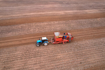 Harvesting potatoes, aerial view. Potato Harvester during seasonal harvesting of potatoes from farm...