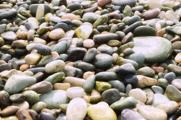 Color pebbles on the beach. Wet stones background.