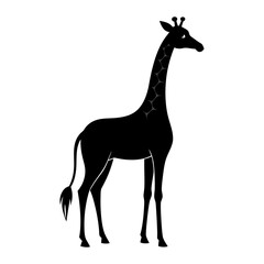 Obraz premium Vector silhouette of a giraffe on white background