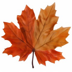 Fototapeta premium Vibrant autumn leaf showcasing shades of orange, perfect for seasonal designs and nature-themed projects.