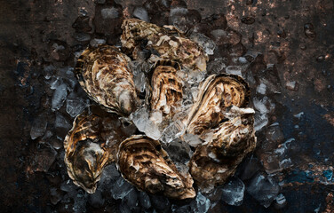 Fresh unopened oysters on old textured background, top view 