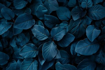 Fototapeta premium Dark blue leaves background, top view. Dark green and dark navy colors. Flat lay. Abstract nature concept. Wall art print poster with close up of dark leafs in autumn season.