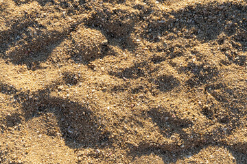 Sand Beach Nature Texture
