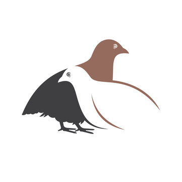 recommend clip art: illustration of laying quail, vector art.
