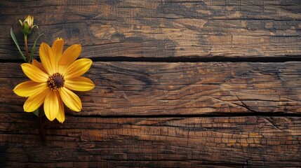 Fototapeta premium Yellow flower on wooden table with space for text