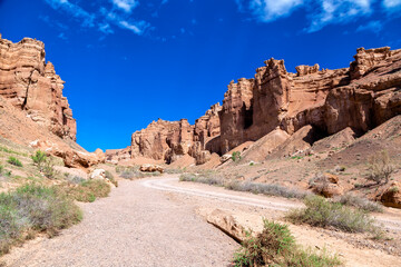 Fototapeta premium Great Charyn Canyon, Almaty, Kazakhstan. Valley of Castles. Bright blue sky with white clouds over a desert canyon on a hot, sunny day with sparse vegetation. Without people