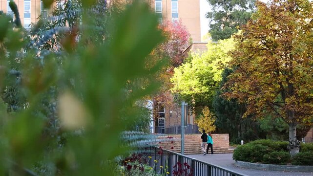 Walking Through University Campus in Autumn