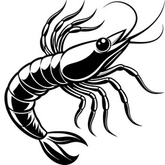 Prawn vector illustration on a whiter background